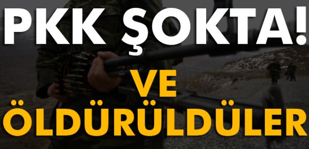 PKK’nın sözde bölge sorumluları öldürüldü