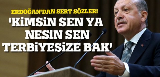Erdoğan'dan AP Başkanı Schulz'a sert sözler