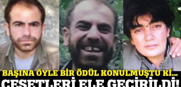 Nusaybin'de PKK'lı terörist 'Soro' öldürüldü