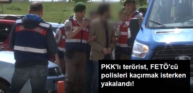 PKK'lı Terörist, Bulgaristan'a Kaçırmaya Çalıştığı FETÖ'cü Polislerle Birlikte Yakalandı
