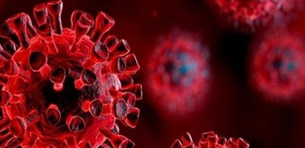 Aşılara dirençli 32 mutasyonlu yeni koronavirüs varyantı!