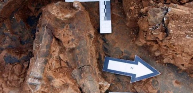 Denizli'de 8 milyon yıllık hayvan fosilleri bulundu