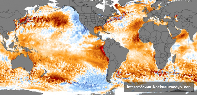 Dünyanın okyanusları artık çok, çok, çok hızlı ısınıyor
