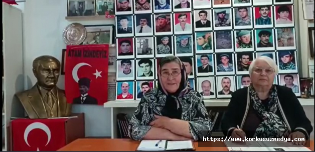 Şehit Anaları Derneği Başkanı Pakize Alp Akbaba'dan Sinan Oğan'a tepki: "Onu sildik. Alın annenizi, sandığa gelin"