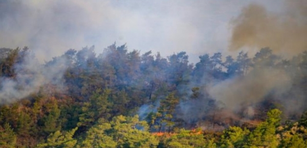 Marmaris'te çıkan orman yangınında acı gerçek hava aydınlanınca ortaya çıktı! Koca orman kül oldu
