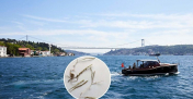 Katil yosun alarmı: Marmara’da görüldü… Karadeniz’e doğru yayılıyor!
